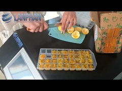 En el hogar, el equipo de liofilización de frutas