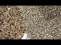 Máquina clasificadora de color de arroz, granos de café, arroz, trigo, máquina clasificadora automática