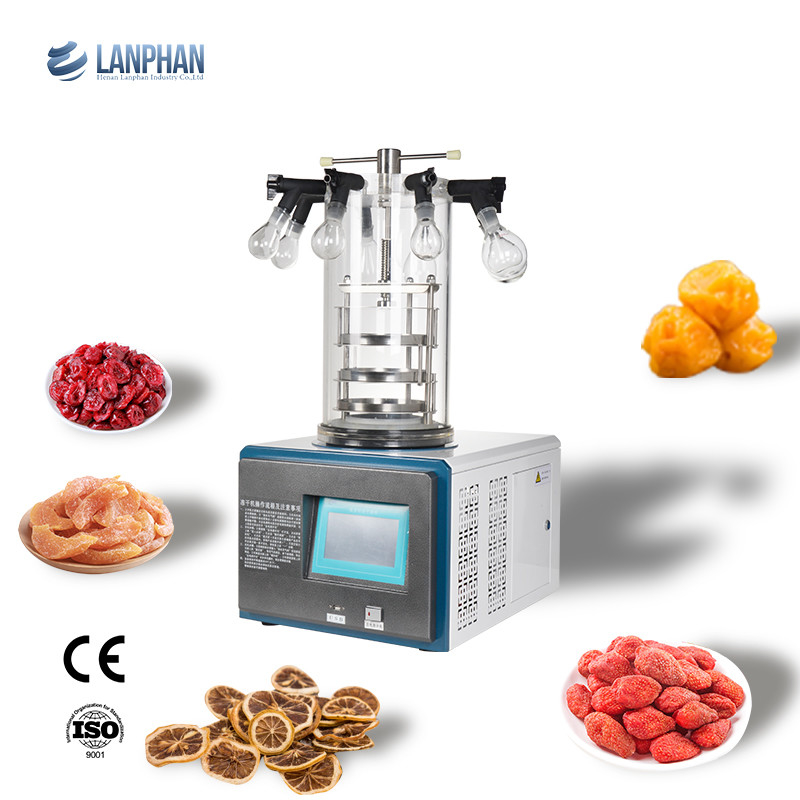 Prueba de corrosión del laboratorio de la secadora del secador de helada del vacío de la fruta 220V