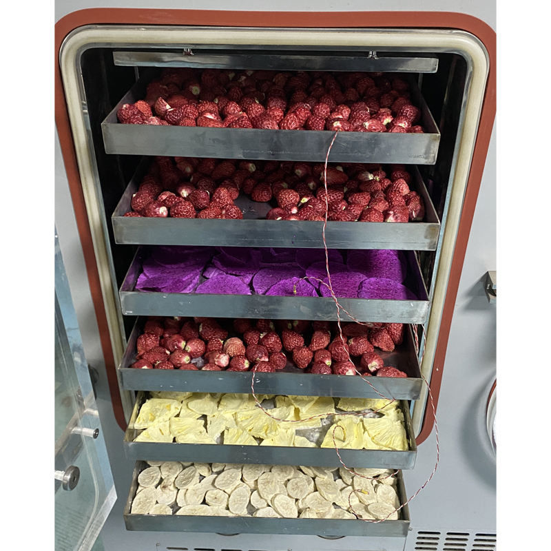 Liofilizador de laboratorio con área de liofilización de 0.4 m², sistema refrigerado por aire y capacidad de captura de agua de 6 kg/24h