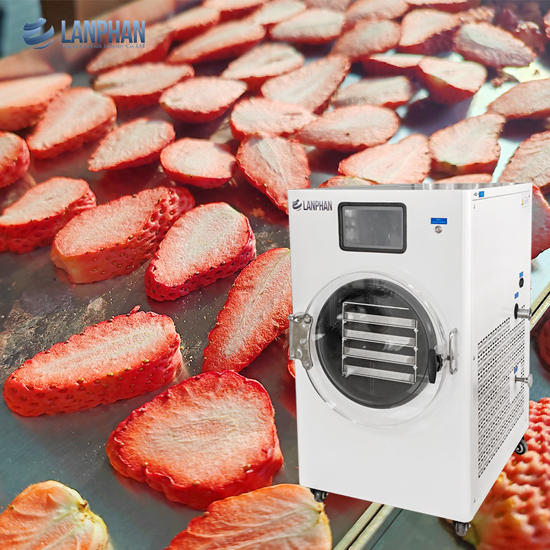 Máquina de secado por congelación de alimentos, máquina de secado por congelación comercial, bomba de vacío para alimentos, dulces de frutas