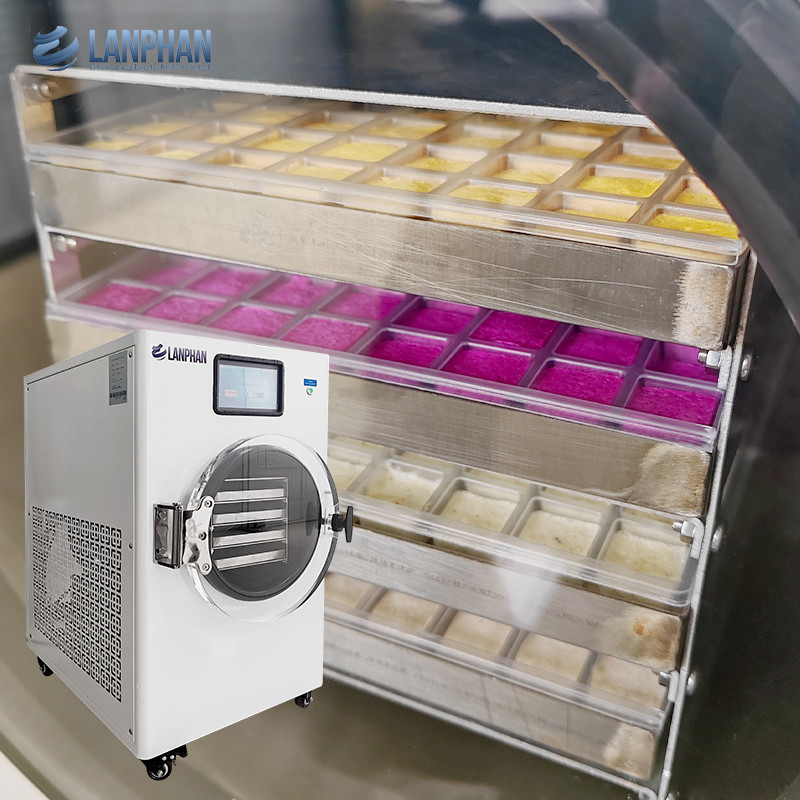Máquina de congelación al vacío Secadoras de congelación para el hogar Equipo de secado de alimentos con filtro de niebla de aceite