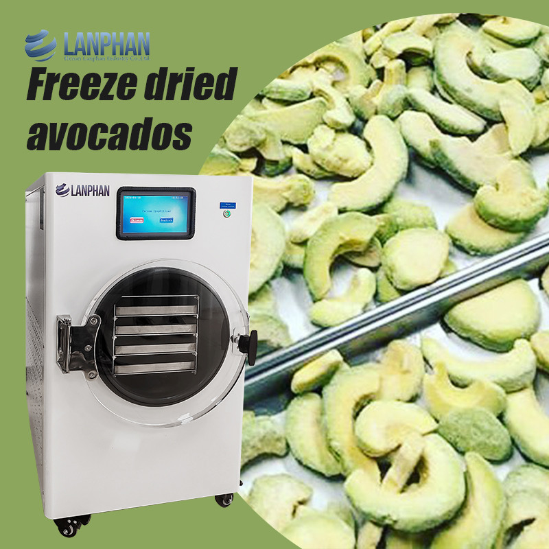 Máquina de secado de frutas de acero inoxidable para aguacate, higo, melocotón, aguacate Secador de vacío para alimentos
