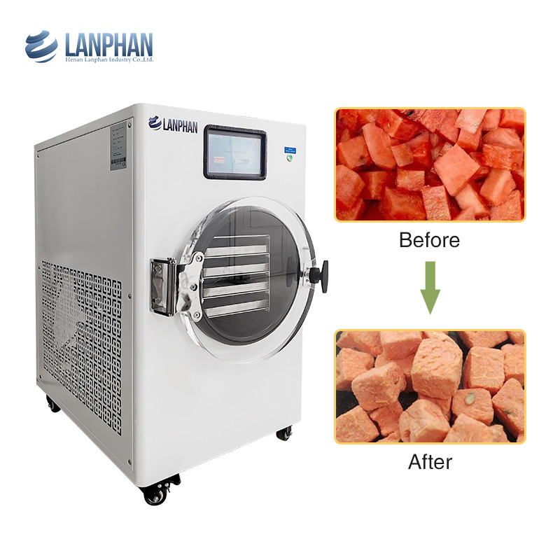 Máquina de secado de frutas de acero inoxidable para aguacate, higo, melocotón, aguacate Secador de vacío para alimentos