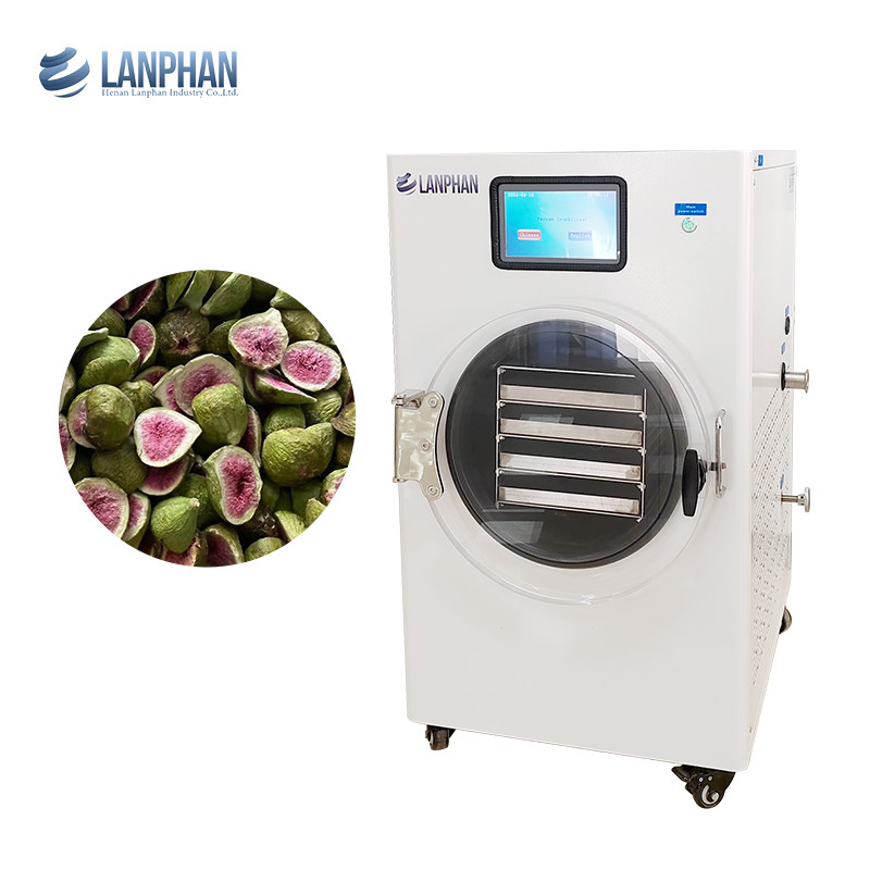Máquina de secado de frutas de acero inoxidable para aguacate, higo, melocotón, aguacate Secador de vacío para alimentos