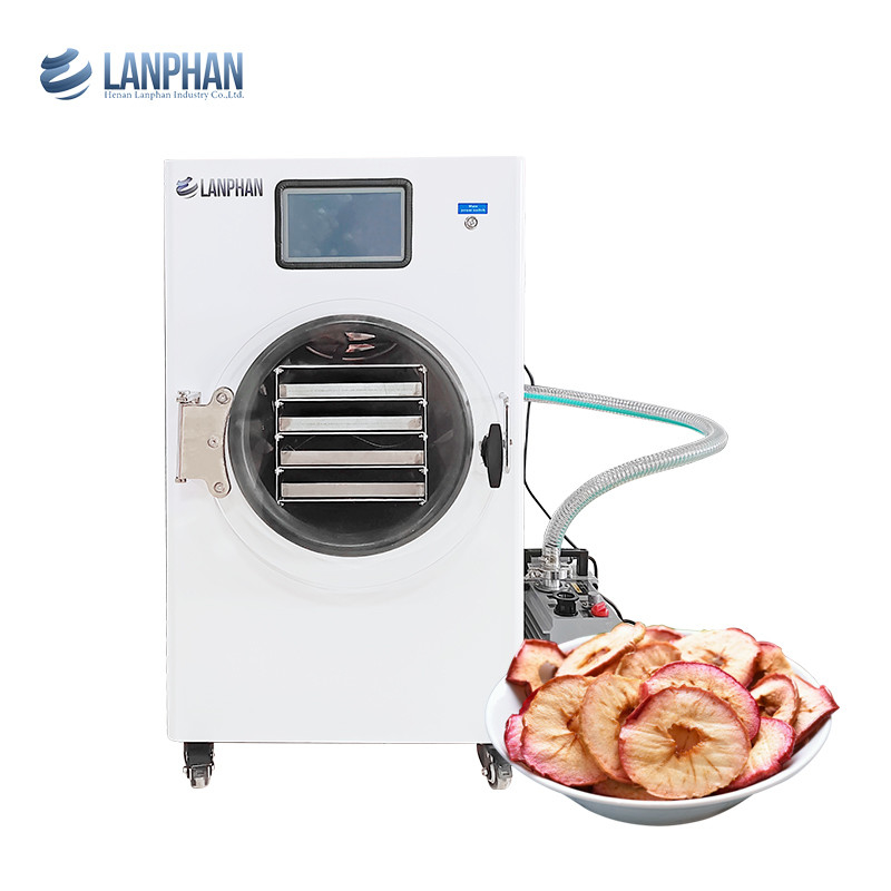 Máquina de secado de frutas de acero inoxidable para aguacate, higo, melocotón, aguacate Secador de vacío para alimentos