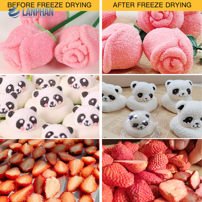 Lanphan 7-Tray Medium Freeze Dryer para el hogar Negro Blanco Freeze Dry en el hogar para fruta alimenticia