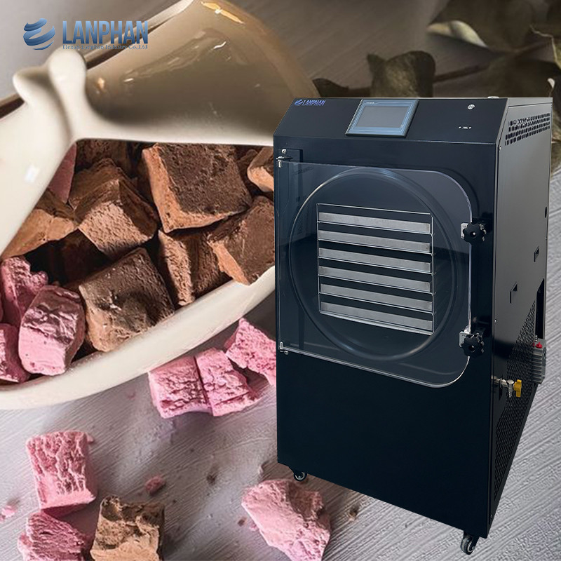 20 kg-25 kg/partido secador de congelación Equipo de secado al vacío para helados y sándwiches