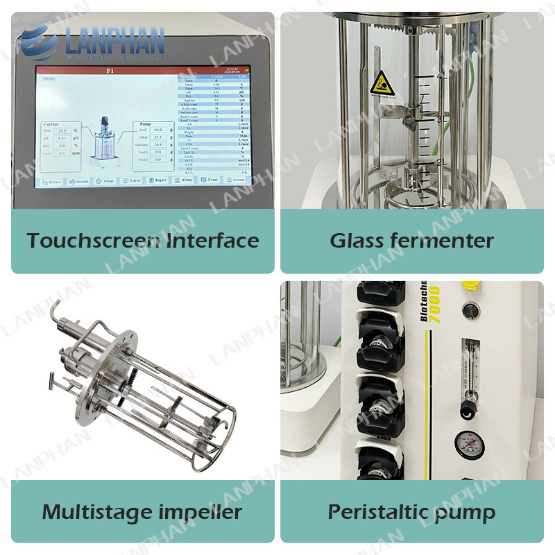 Biorreactor de cultivo de células animales de 5 l Biorreactor de vidrio autoclavable Fermentador microbiano