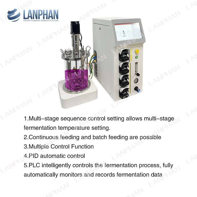 Espirulina de levadura Biorreactor de laboratorio de vidrio Biorreactor de fermentación Biorreactor de cultivo de células animales Biorreactor 10L/5L