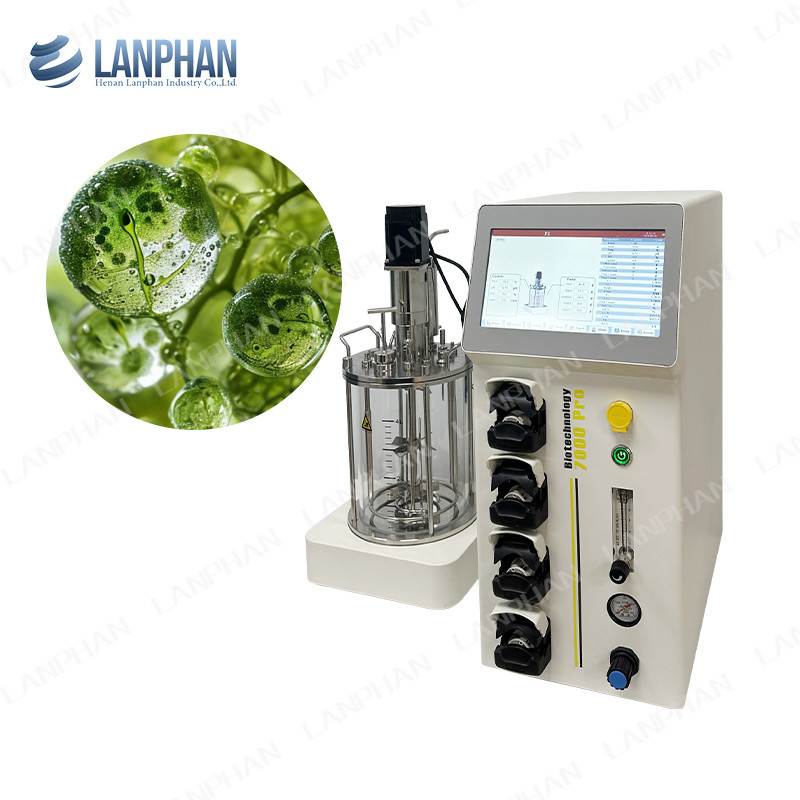 Espirulina de levadura Biorreactor de laboratorio de vidrio Biorreactor de fermentación Biorreactor de cultivo de células animales Biorreactor 10L/5L
