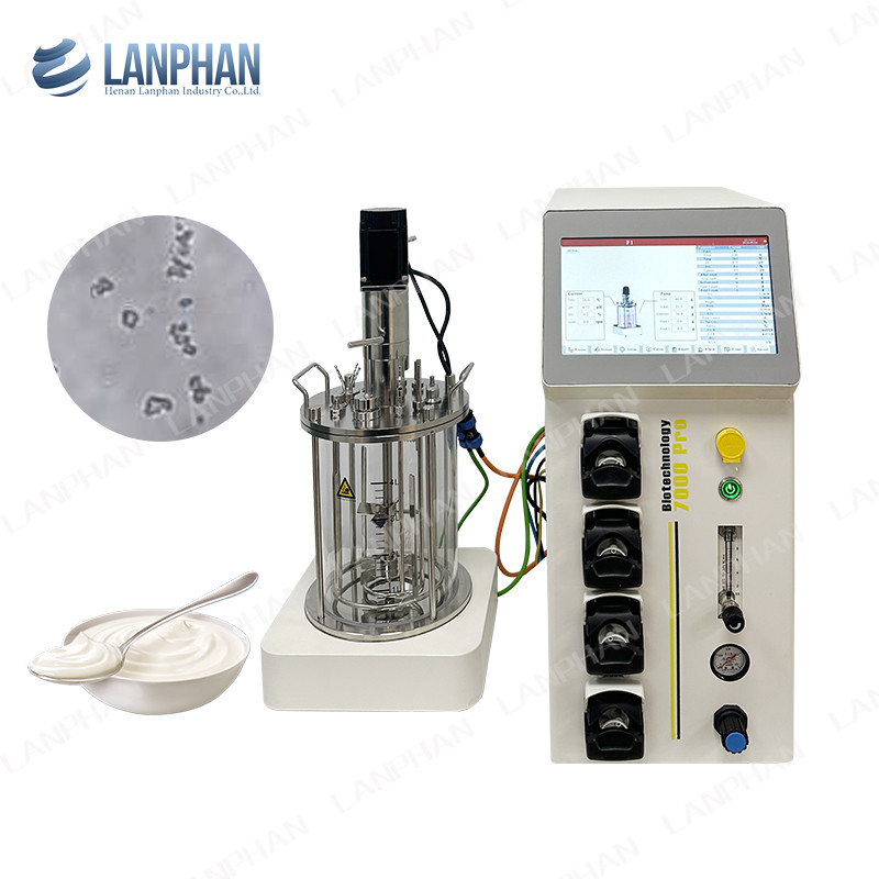 Biorreactor de microorganismos y bacterias 1l Biorreactor de laboratorio para algas