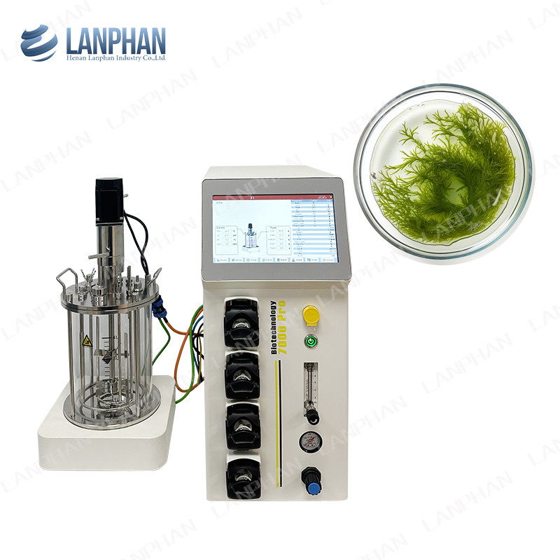 Biorreactor de microorganismos y bacterias 1l Biorreactor de laboratorio para algas