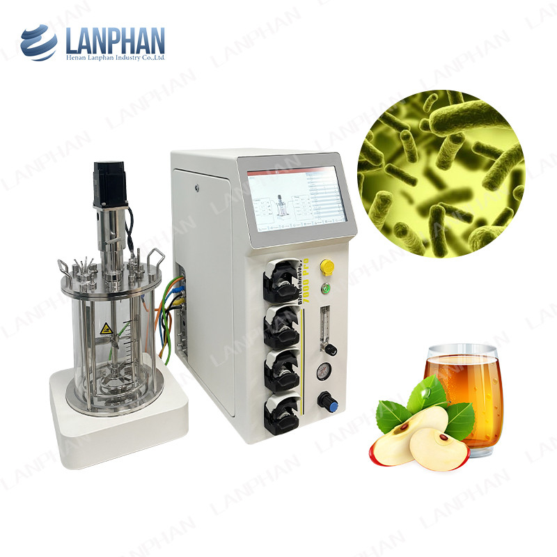 2l 5l 10l Cultivo automático de levaduras de espirulina Biorreactor de fermentación de vidrio para cultivo celular