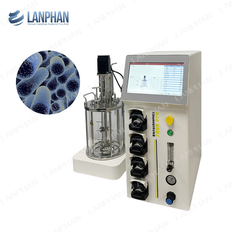 Vaccina de laboratorio Biorreactor de fermentación de vidrio alimentado con lote Biorreactor de tanque de mezcla de banco