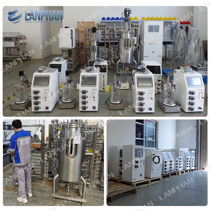 2l 5l 10l Cultivo automático de levaduras de espirulina Biorreactor de fermentación de vidrio para cultivo celular