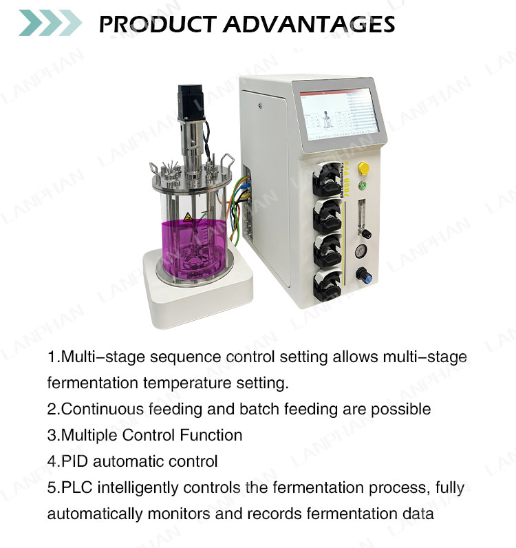 Biorreactor de microorganismos y bacterias 1l Biorreactor de laboratorio para algas