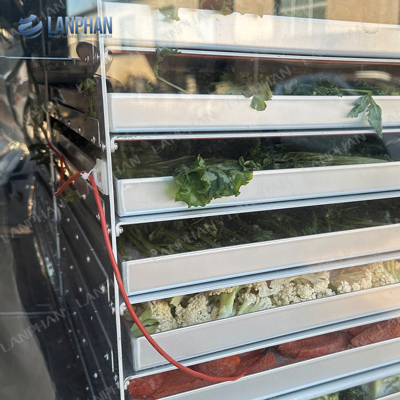 18 bandejas Farmacéutica de alimentos máquina de secado por congelación de vacío máquina de secado por congelación de verduras