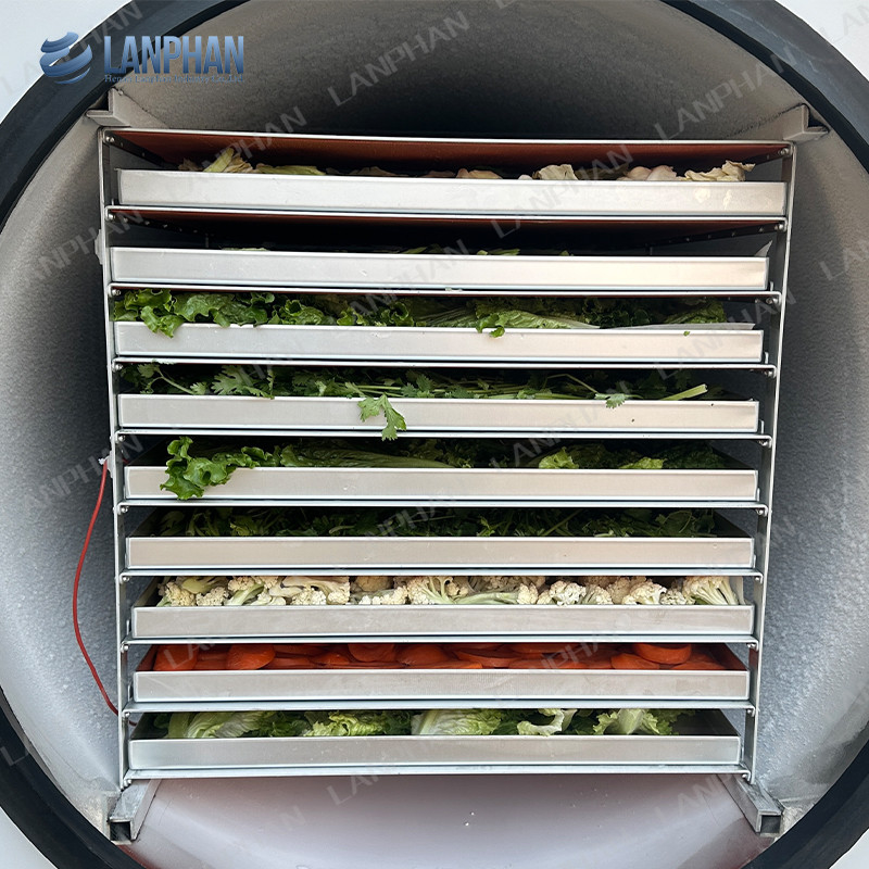 Lanphan Máquina automática de secado por congelación grande de 5m2 Secadora por congelación para carnes, frutas y verduras
