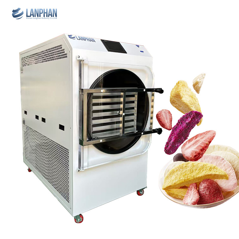 4m2 14 bandejas de gran tamaño máquina de secar alimentos a vacío y congelación fábrica fabricante de frutas y hortalizas