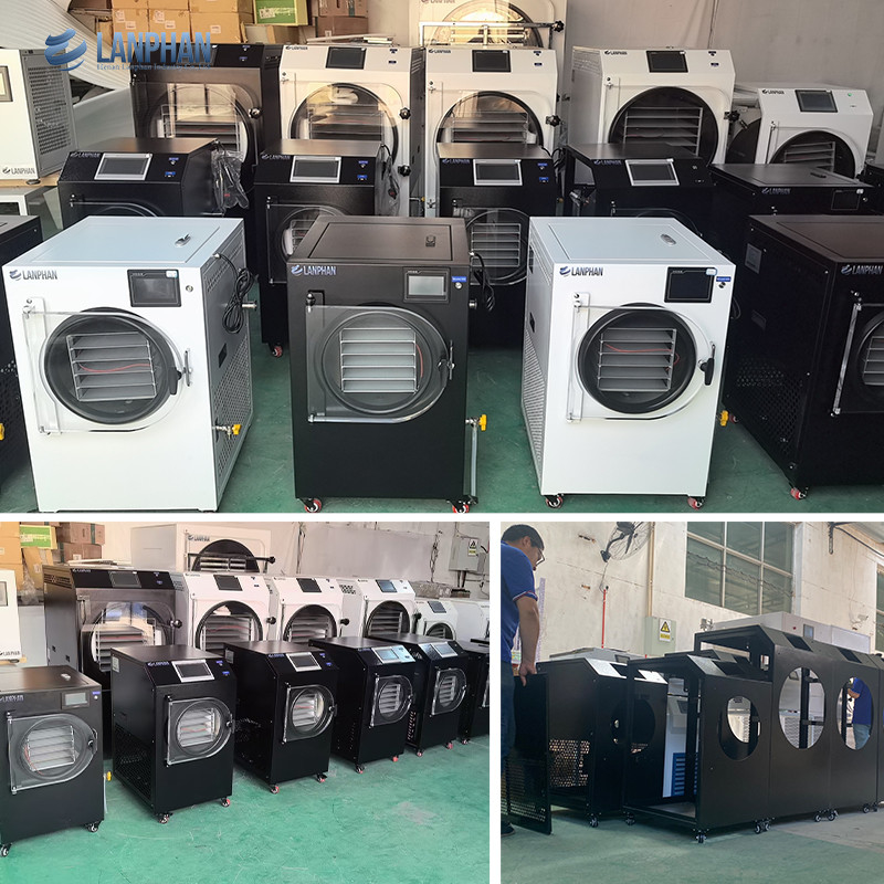 4m2 14 bandejas de gran tamaño máquina de secar alimentos a vacío y congelación fábrica fabricante de frutas y hortalizas
