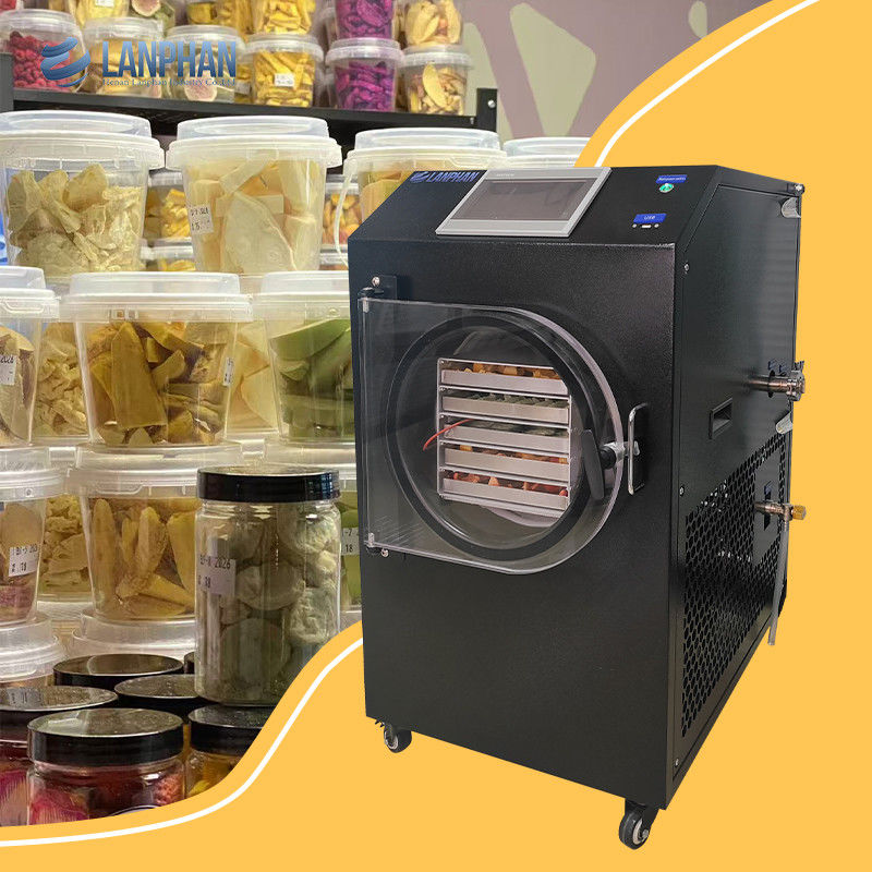Liofilizador pequeño Lanphan Nueva actualización 0.5m2 Máquina de liofilización negra con bomba de vacío