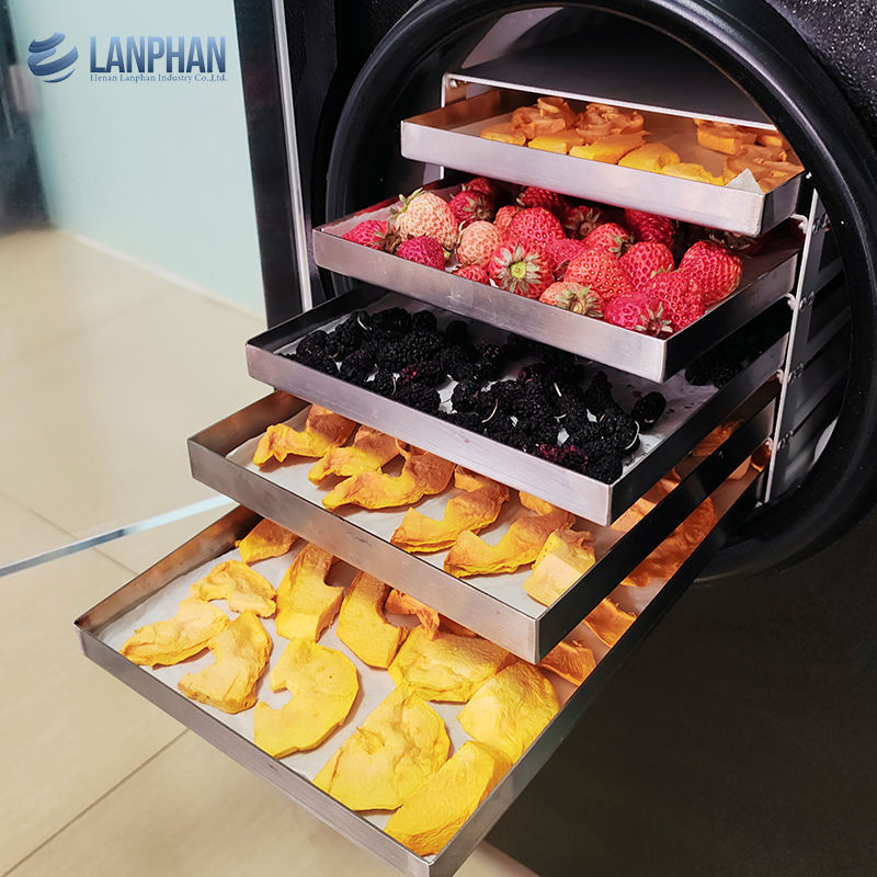 Máquina de secado por congelación con vacío Máquina de secado por congelación para carne Alimentos para mascotas Máquina de secado por congelación de frutas