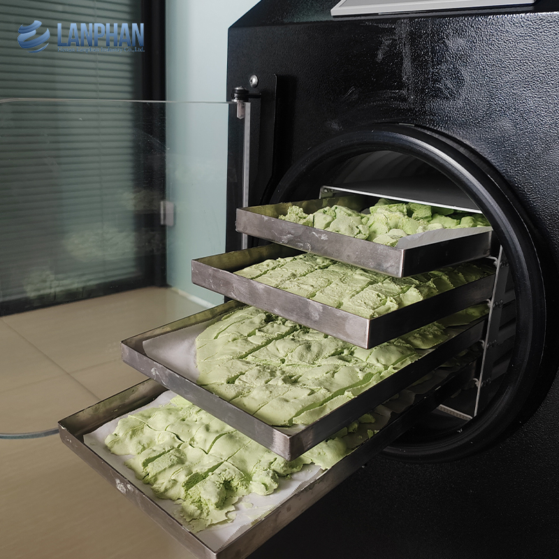 Fabricante de fábrica Liofilizador pequeño de 4-6 kg para alimentos, máquina de liofilización al vacío para el hogar