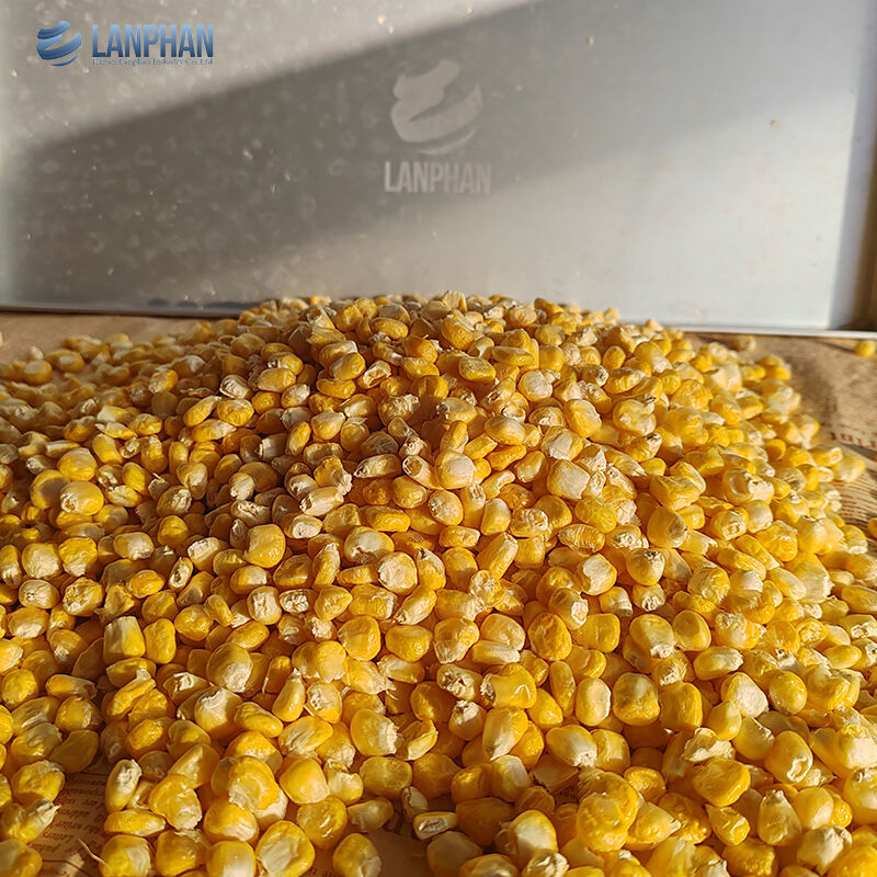 Máquina automática pequeña de liofilización al vacío de 4-6 kg para alimentos, frutas y carne, para uso doméstico