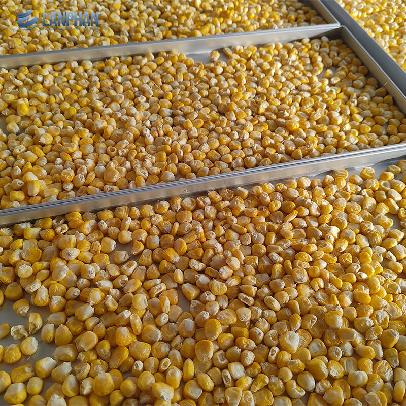 5 bandejas de tamaño pequeño secador de congelación de acero inoxidable con bomba de aceite para alimentos dulces