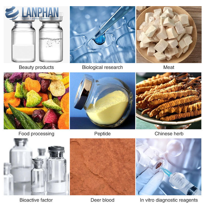 Liofilizador industrial de laboratorio para liofilización por lotes de 8 kg/lote, productos farmacéuticos, productos microbianos