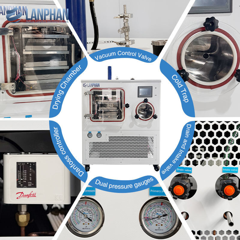 Liofilizador industrial de laboratorio para liofilización por lotes de 8 kg/lote, productos farmacéuticos, productos microbianos