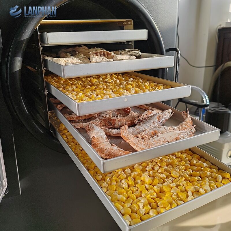 5 bandejas de tamaño pequeño secador de congelación de acero inoxidable con bomba de aceite para alimentos dulces