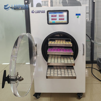 Inicio Equipo de secado por congelación Máquina de secado por congelación de frutas para yogur de mango y plátano