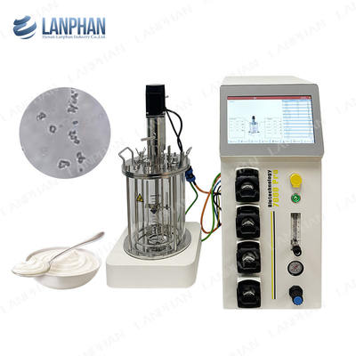 Biorreactor de microorganismos y bacterias 1l Biorreactor de laboratorio para algas