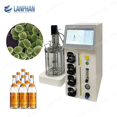Vaccina de laboratorio Biorreactor de fermentación de vidrio alimentado con lote Biorreactor de tanque de mezcla de banco