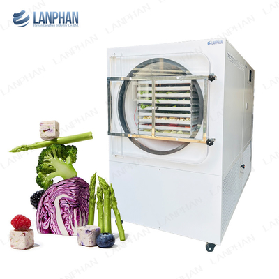 Lanphan Máquina automática de secado por congelación grande de 5m2 Secadora por congelación para carnes, frutas y verduras