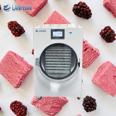 3M2 Lanphan Candy Cake Freeze Dryer Máquina de secado por congelación de frutas y verduras Lipolizadora