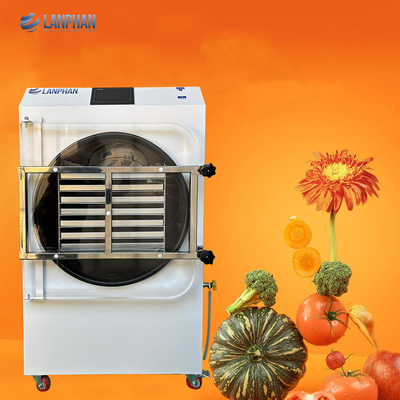 4m2 14 bandejas de gran tamaño máquina de secar alimentos a vacío y congelación fábrica fabricante de frutas y hortalizas