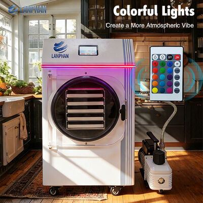 Secador de alimentos compacto para uso doméstico para conservar frutas, verduras y carnes